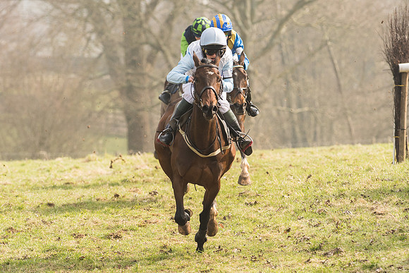 Pony Race 2 -  (11 of 32).jpg