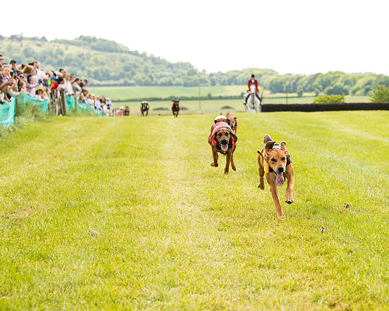 Draghounds Race (91 of 212)
