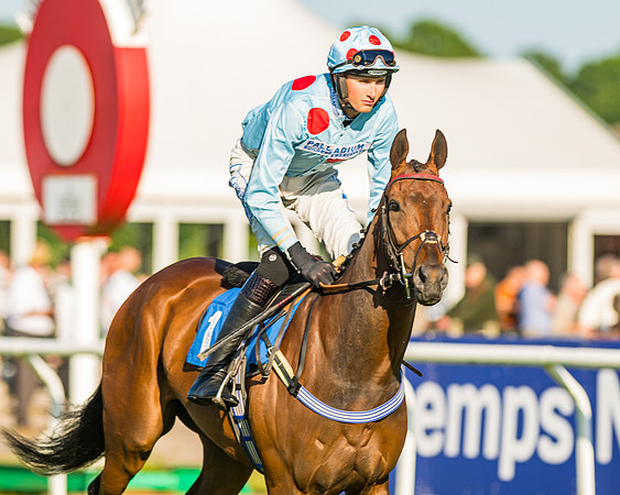 Race 3 - John Corbet Cup (33 of 127)