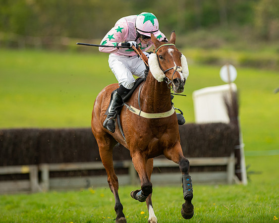 Race 5 - Open Maiden  (76 of 89)