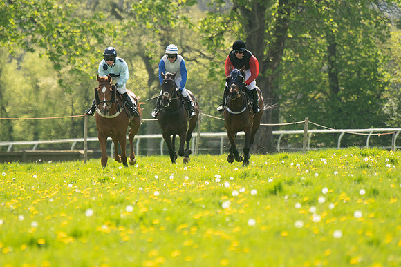 Race 2 - Veteran Horse  (47 of 82)