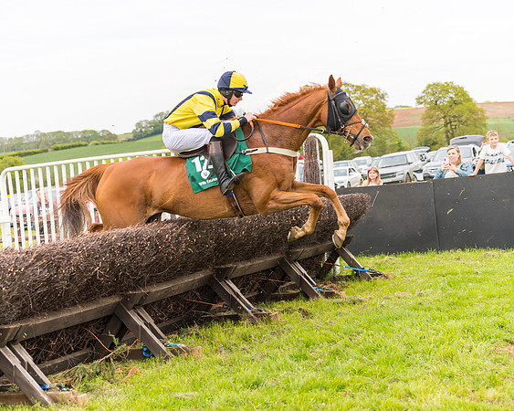Race 7 - Veteran Horse conditions (113 of 244)