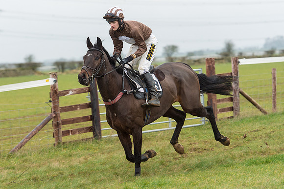 Race 6 - Open Maiden Race Div 1  (3 of 90).jpg