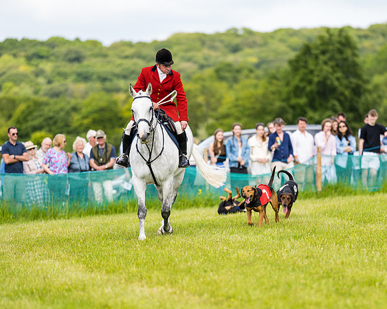 Draghounds Race (3 of 212)