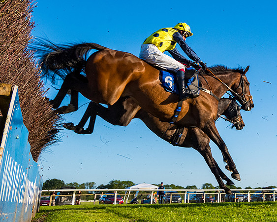 Race 5 - Whitw Swan Handicap (17 of 67)