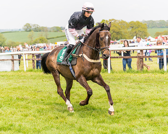 Race 2 - Owner-Trainer Conditions  (49 of 208)