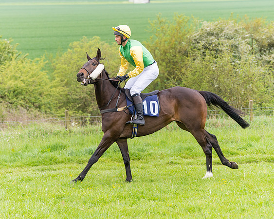 Race 6 - Maiden (3 of 129)