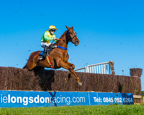 Race 4 - Foxhunters Championship (100 of 175)