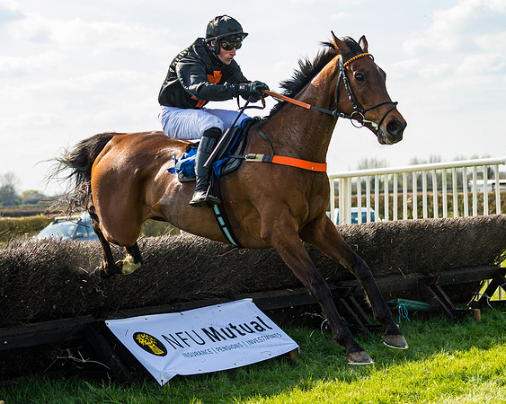 Race 4 - The Warehouse Reit Mixed Open Race  (60 of 124)