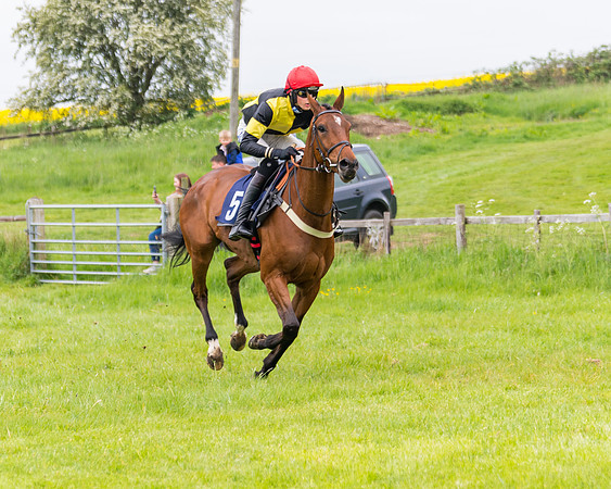 Race 2 - Five and Over restricted (57 of 136)