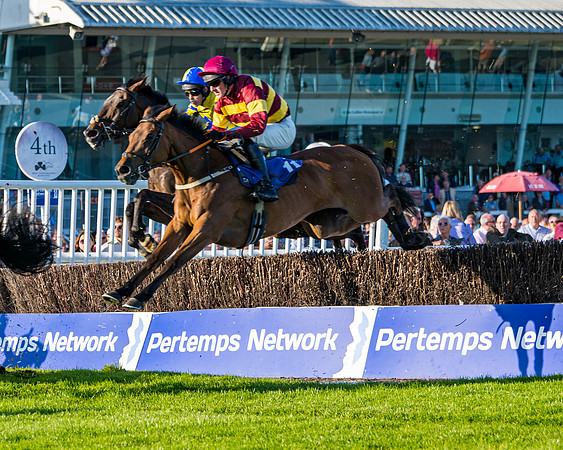 Race 4 - Foxhunters Championship (69 of 175)