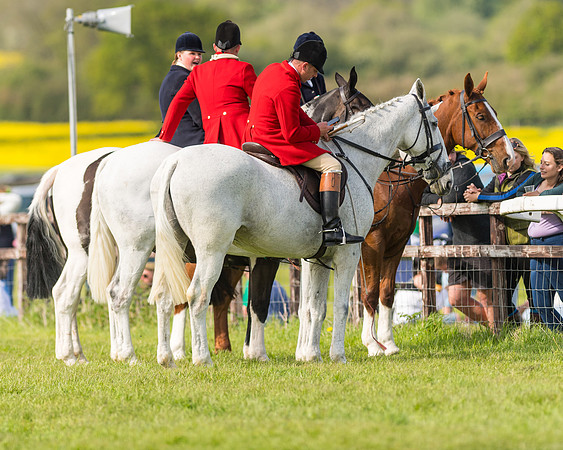 Race 5 - Restricted  (4 of 164)