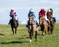 Oakley Ponies (17 of 96).jpg