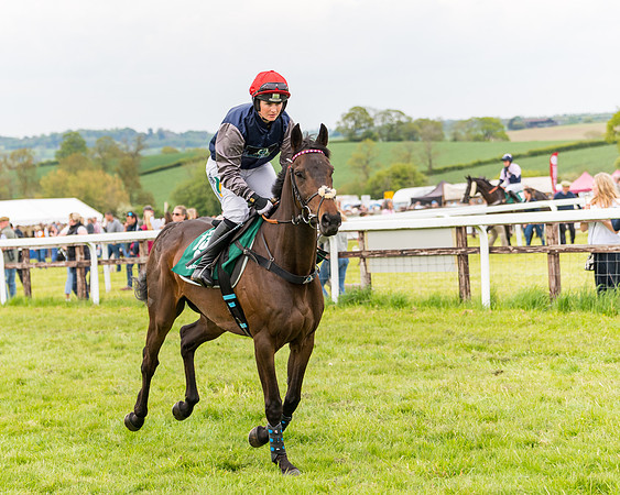 Race 7 - Veteran Horse conditions (88 of 244)