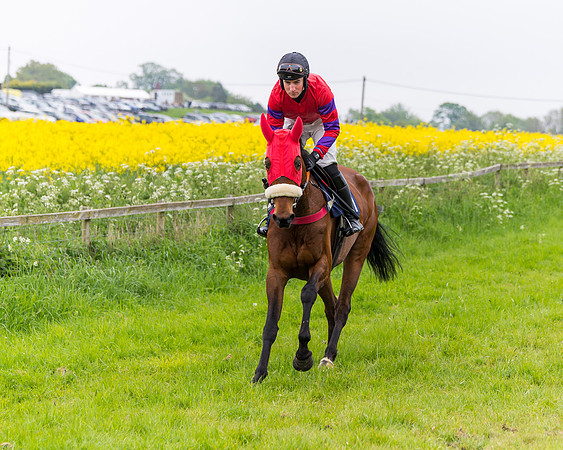Race 6 - The Maiden [NWFAA] (27 of 143)