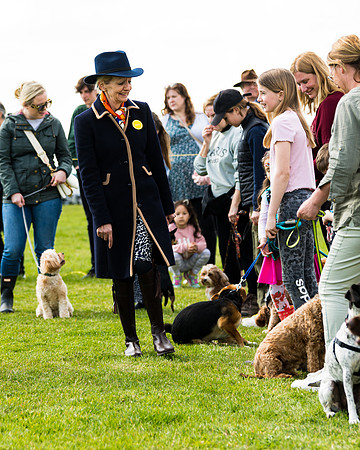 Dog show etc (110 of 157)