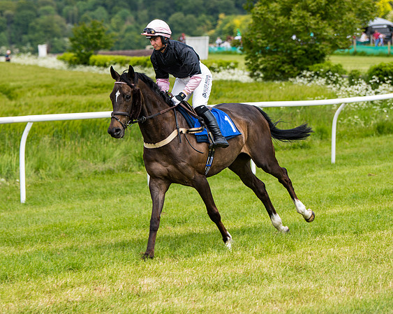 Race 1 - The Little Red owner Trainer conditions (104 of 345)