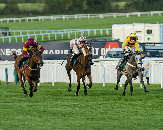 Race 5 - Mares Open  (114 of 329)