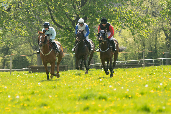 Race 2 - Veteran Horse  (54 of 82)
