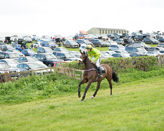 Race 5 - Novice and Veteran Riders (12 of 91)