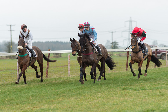 Race 6 - Open Maiden Race Div 1  (26 of 90).jpg