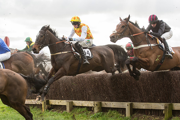 Race 2 - Young Horse Maiden (55 of 110).jpg