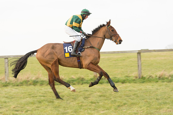 Race 6 Div 1 - Open Maiden  (4 of 116).jpg