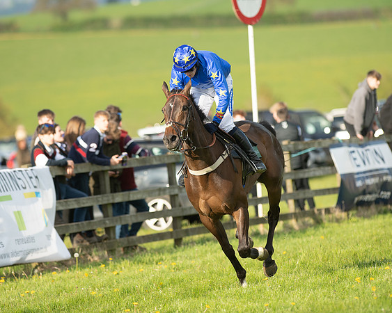 Race 7 - Maiden  (93 of 113)