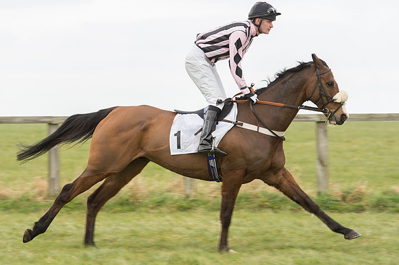 Race 2 - PPORA Novice riders  (62 of 186).jpg