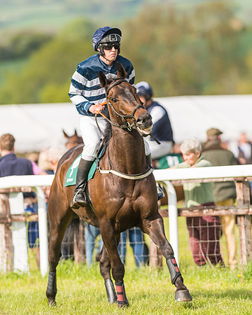 Race 5 - Restricted  (25 of 164)