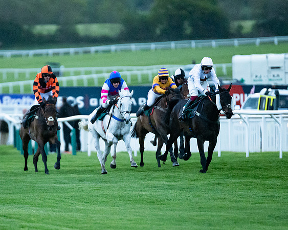 Race 7 - Gloucester Hussars Open  (39 of 154)