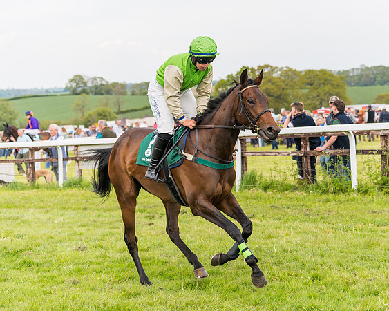 Race 6 = Maiden (30 of 187)