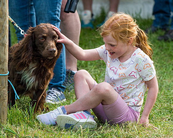 Ava and Merlin (9 of 17)