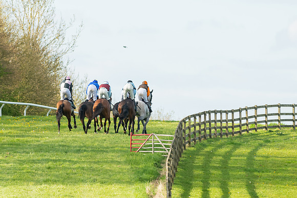 Race 7 - Maiden  (47 of 113)