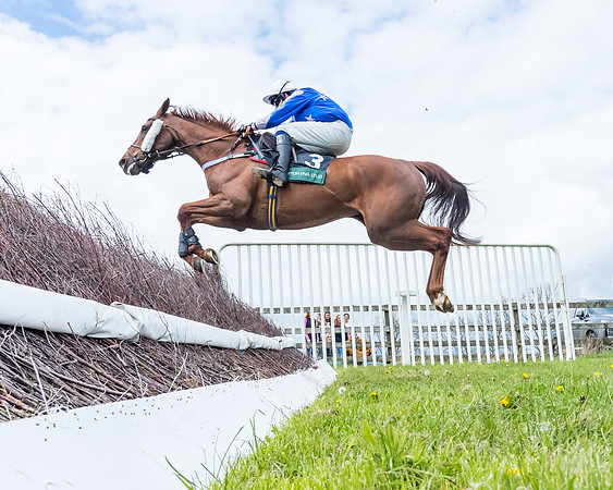 Race 2 - ROR and veteran Horse Conditions race (24 of 77)