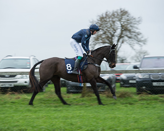 Race 4 - Restricted (6 of 58).jpg