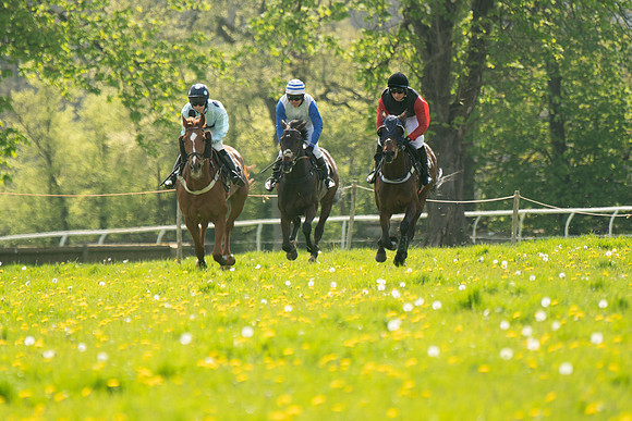 Race 2 - Veteran Horse  (48 of 82)