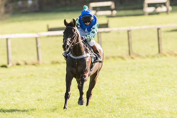 Pony Race 2 (18 of 22).jpg