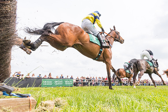 Race 2 - Owner-Trainer Conditions  (117 of 208)