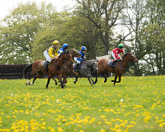 Ponies and Side saddle (6 of 69)