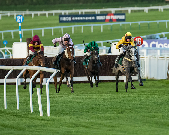 Race 5 - Mares Open  (109 of 329)