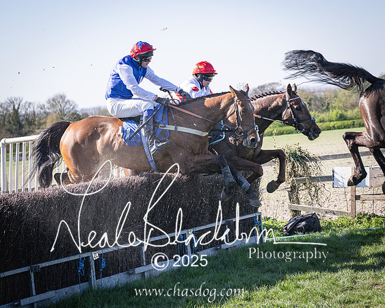Race 6 - Veteran horse (99 of 109)