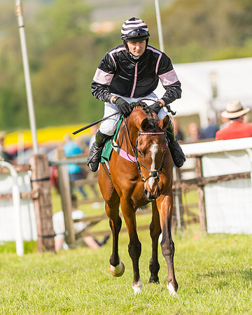 Race 5 - Restricted  (12 of 164)