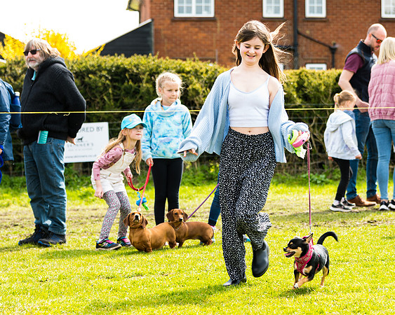 Dog show etc (56 of 157)