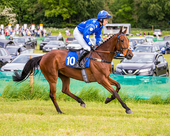 Race 6 - Open Maiden (116 of 346)
