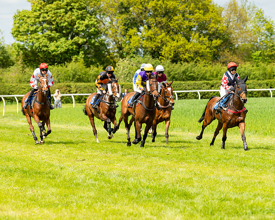 Race 1 - The Condiitions race (47 of 123)
