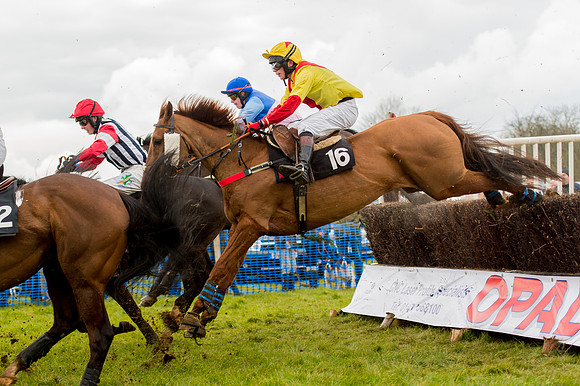 Race 2 - Novice and Veterans   (61 of 101).jpg