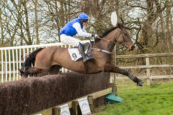 Race 2 - Young Horse Maiden (91 of 110).jpg