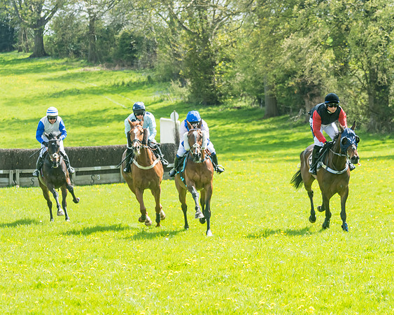 Race 2 - Veteran Horse  (32 of 82)