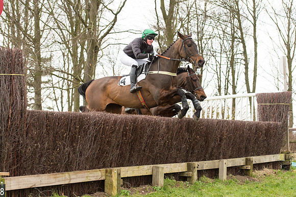 Race 2 - PPORA Novice riders  (88 of 186).jpg
